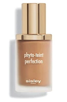 Sisley Paris Phyto-Teint Perfection Foundation in 6W Chestnut at Nordstrom, Size 1 Oz