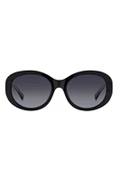 Kate Spade New York avah 56mm gradient round sunglasses in Black/Grey Shaded at Nordstrom