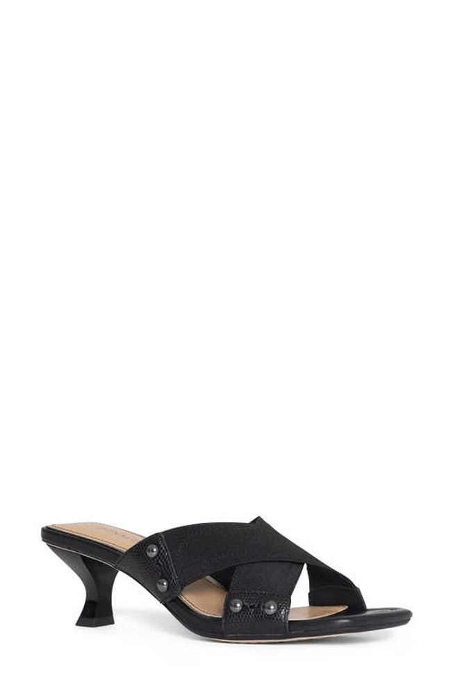 Donald Pliner Rafya Slide Sandal Black at Nordstrom,