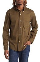 BUCK MASON Perfect Oxford Button-Down Shirt at Nordstrom,