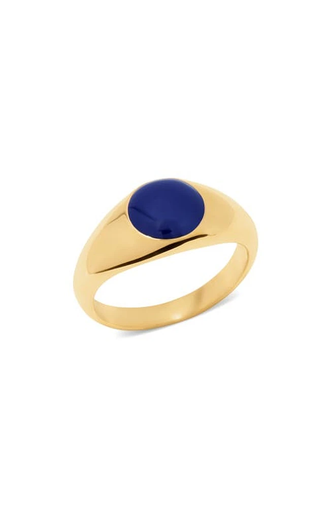 Brook and York Vida Signet Ring in Gold at Nordstrom