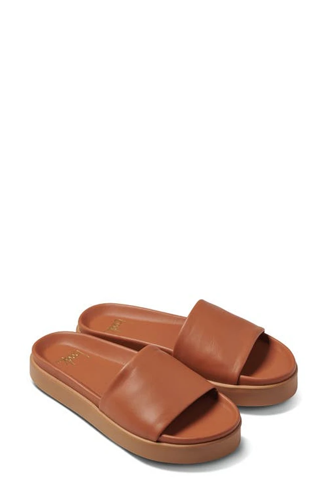 Beek Chick Platform Slide Sandal Tan/Tan at Nordstrom,