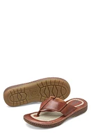 Børn Corvo Flip Flop Dk Tan F/G at Nordstrom,