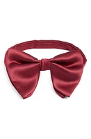 CLIFTON WILSON Red Silk Butterfly Bow Tie in Dark Red at Nordstrom