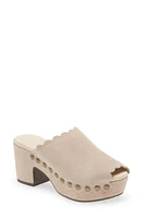 Chocolat Blu Genessis Platform Clog Suede at Nordstrom,