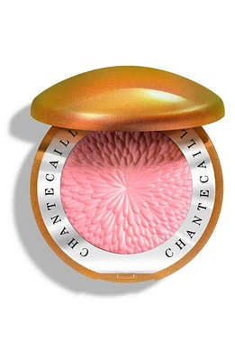 Chantecaille Sunstone Radiant Blush in Confidence at Nordstrom