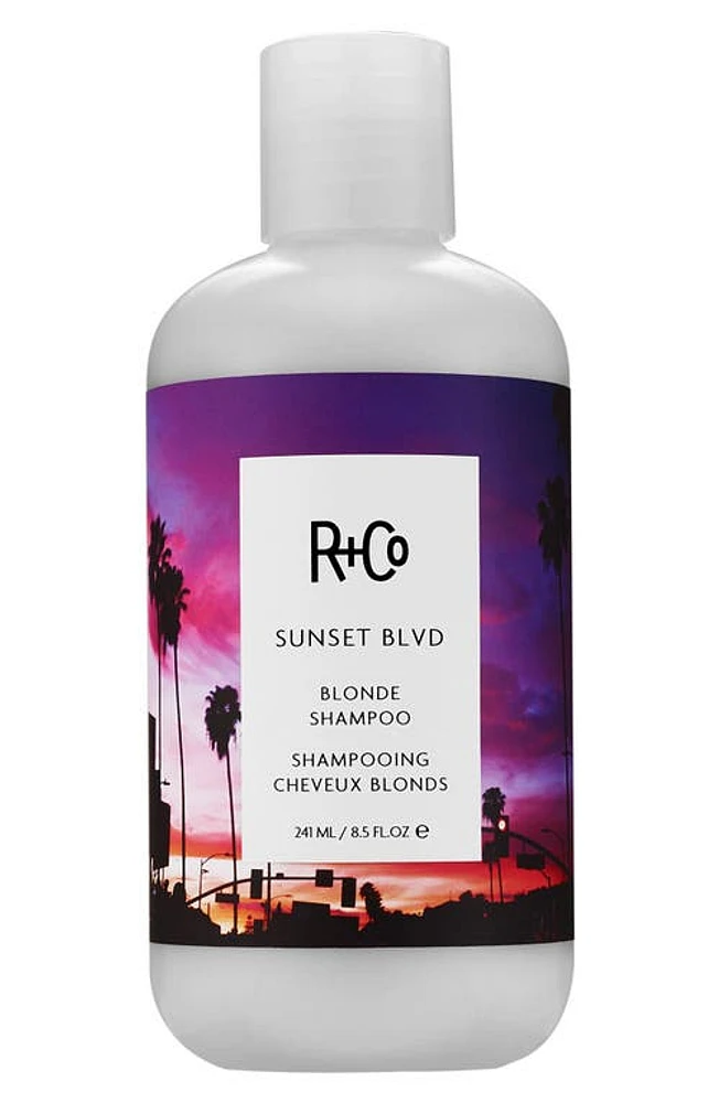 R+Co Sunset Blvd Blonde Shampoo at Nordstrom, Size 8.5 Oz