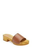 Seychelles Marine Layer Slide Sandal in Cognac Leather at Nordstrom, Size 9