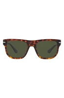 Persol 55mm Square Sunglasses in Havana at Nordstrom