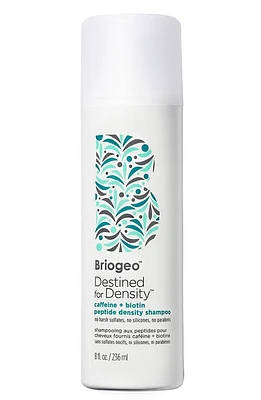 Briogeo Destined for Density Caffeine + Biotin Peptide Density Shampoo at Nordstrom, Size 8 Oz