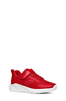 Geox Kids' Sprintye Sneaker at Nordstrom