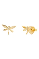 Kate Spade New York delicate dragonfly cubic zirconia stud earrings in Clear/Gold at Nordstrom