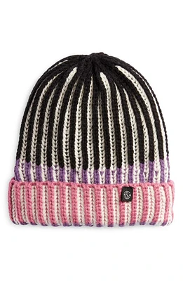 Treasure & Bond Stripe Rib Beanie in Black Combo at Nordstrom