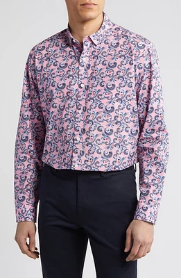 Johnston & Murphy Paisley Print Cotton Button-Up Shirt Pink at Nordstrom, R