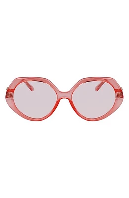 FERRAGAMO 58mm Modified Oval Sunglasses in Transparent Coral at Nordstrom