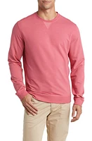 johnnie-O Corbet Crewneck Sweatshirt Raspberry at Nordstrom,