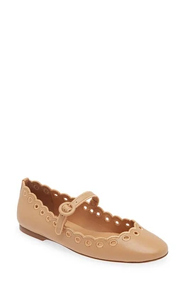 Larroudé Blair Broderie Mary Jane Flat Tan at Nordstrom,