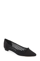 Manolo Blahnik Tiakala Lace Mesh Pointy Toe Flat Black at Nordstrom,