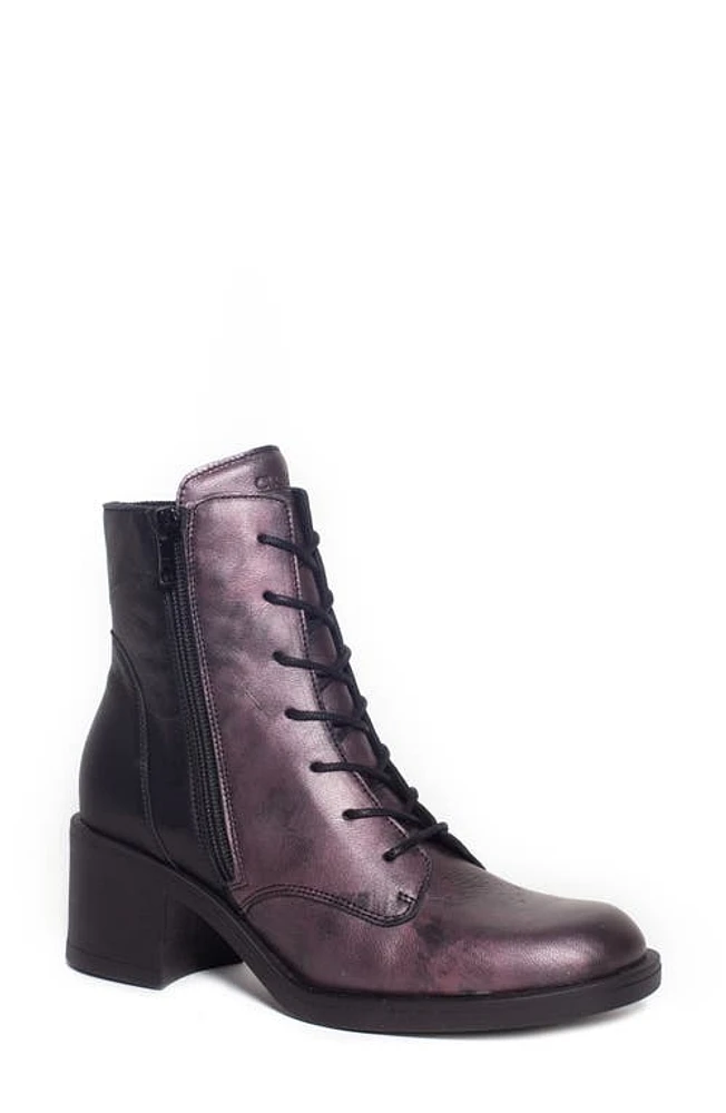 CLOUD Elise Lace-Up Bootie in Black/Bordeaux at Nordstrom, Size 8-8.5Us