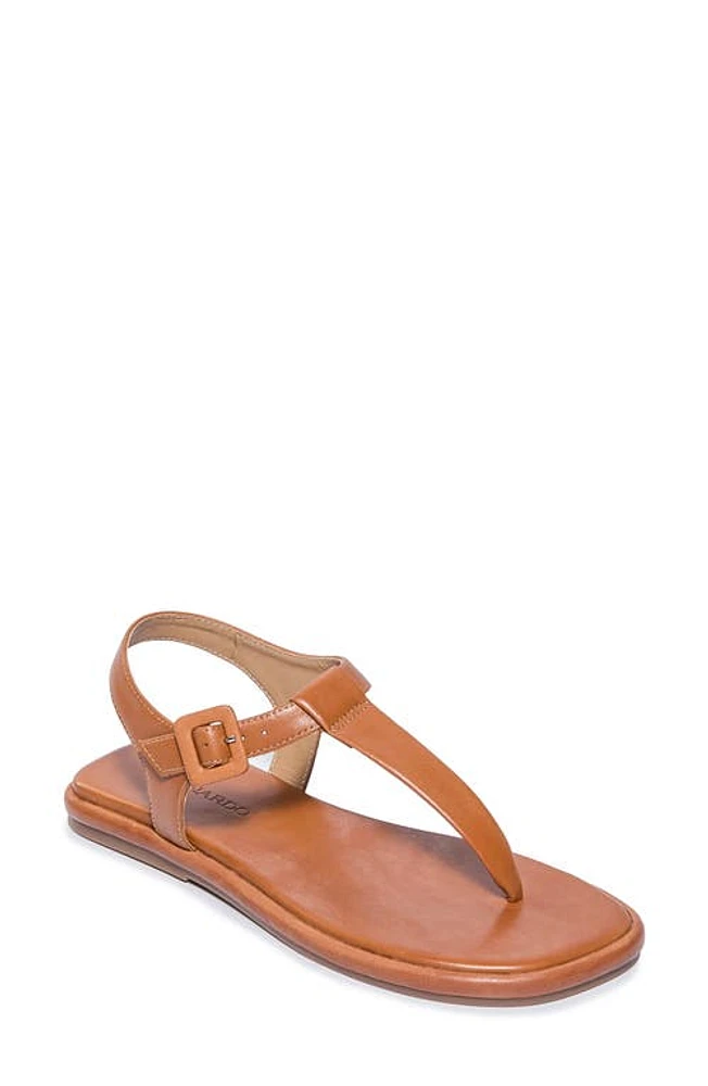 BERNARDO FOOTWEAR Tucson Sandal at Nordstrom,