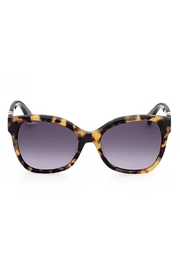 Max Mara Butterfly 56mm Gradient Cat Eye Sunglasses in Havana/Other /Gradient Smoke at Nordstrom