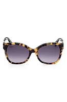 Max Mara Butterfly 56mm Gradient Cat Eye Sunglasses in Havana/Other /Gradient Smoke at Nordstrom