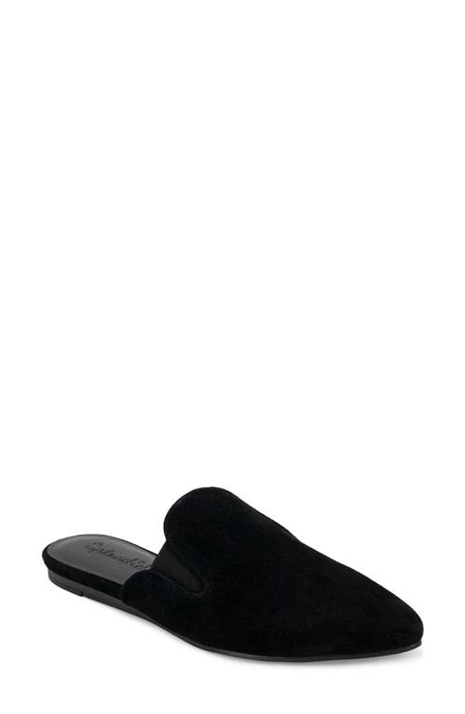 Splendid Liza Pointed Toe Mule Black Suede at Nordstrom,