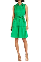 Maggy London Belted Sleeveless Shirtdress at Nordstrom,