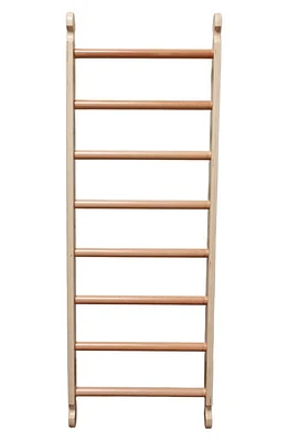 Little Partners Climbing Ladder in Natural at Nordstrom