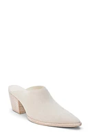 Matisse Cammy Pointy Toe Mule at Nordstrom,