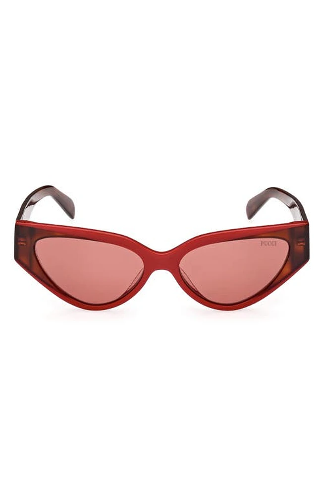 Emilio Pucci 55mm Cat Eye Sunglasses in Red/Other /Bordeaux at Nordstrom