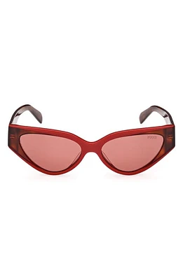 Emilio Pucci 55mm Cat Eye Sunglasses in Red/Other /Bordeaux at Nordstrom