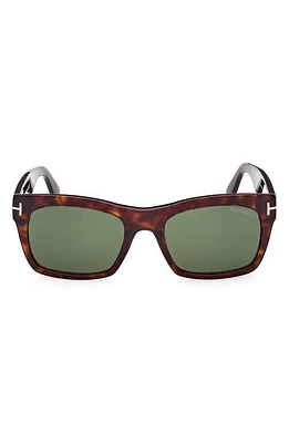 TOM FORD Nico 56mm Square Sunglasses in Classic Dark Havana /Green at Nordstrom