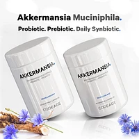 Codeage Akkermansia Muciniphila 100 Million AFU, Daily Synbiotic Probiotic Chicory Inulin, 90 ct in White at Nordstrom