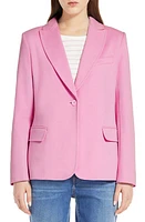 Weekend Max Mara Rosetta Blazer Pink at Nordstrom,