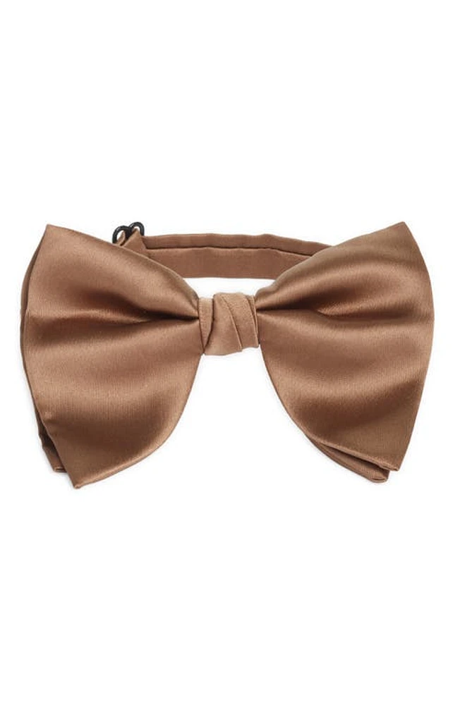 CLIFTON WILSON Silk Butterfly Bow Tie in Brown at Nordstrom