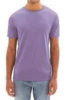 Robert Barakett Georgia Pima Cotton T-Shirt at Nordstrom,