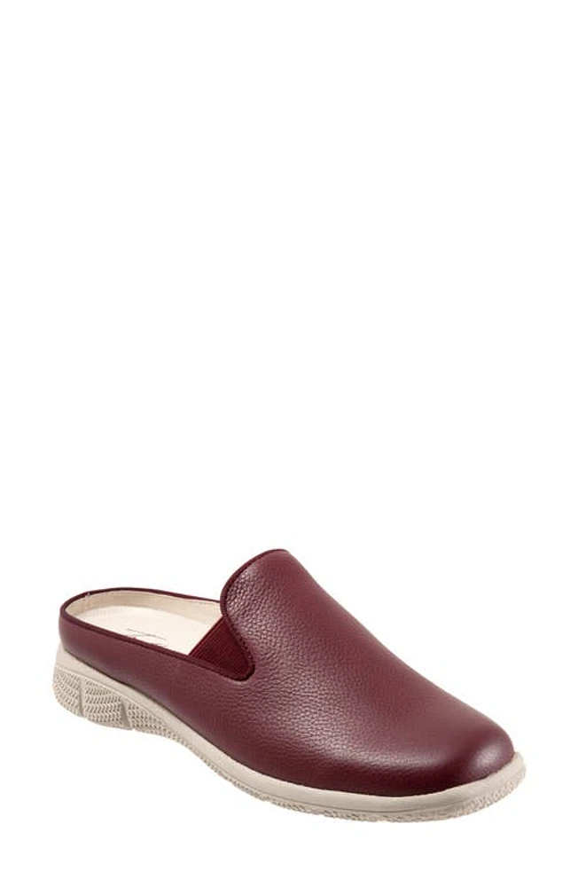 Trotters Uma Mule Dark Cherry at Nordstrom,