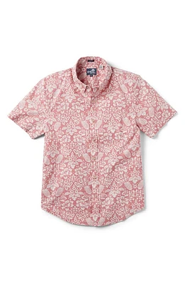 Reyn Spooner Oahu Harvest Tailored Fit Print Short Sleeve Button-Down Shirt at Nordstrom,