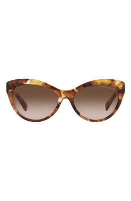 Ralph Lauren 56mm Cat Eye Sunglasses in Havana at Nordstrom