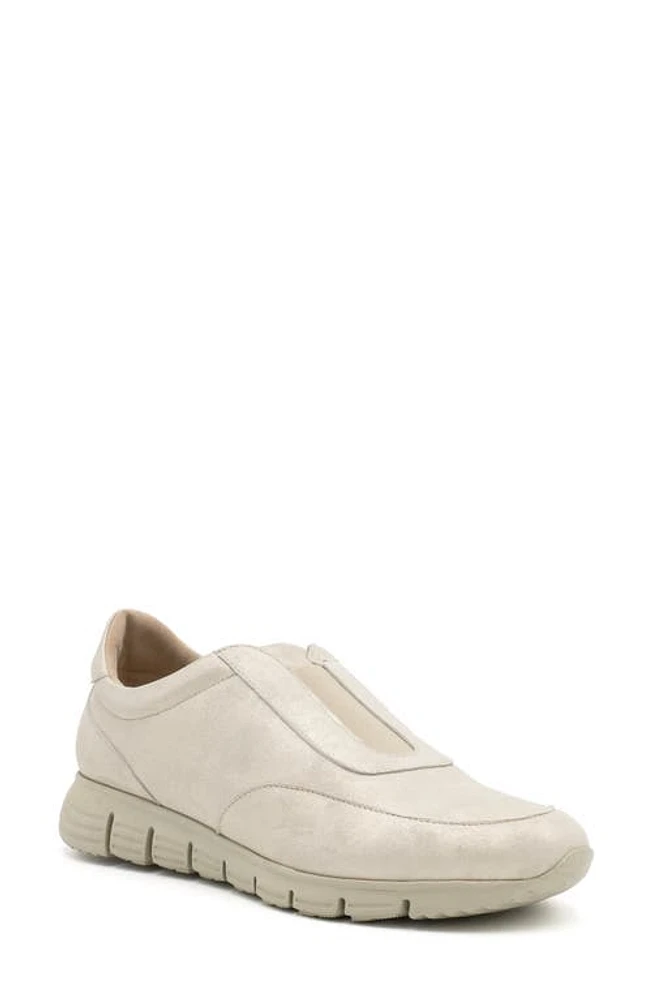 Amalfi by Rangoni Joseph Slip-On Sneaker at Nordstrom,