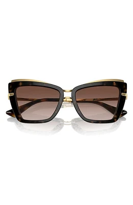 Dolce & Gabbana 54mm Gradient Cat Eye Sunglasses in Brown Gradient at Nordstrom