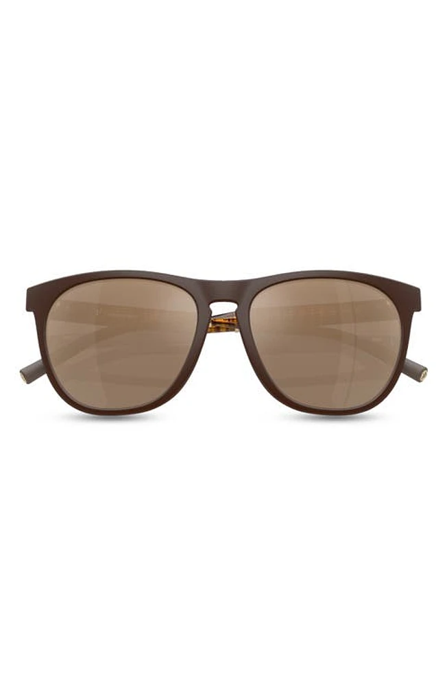 Oliver Peoples x Roger Federer R-1 55mm Irregular Sunglasses in Brown at Nordstrom