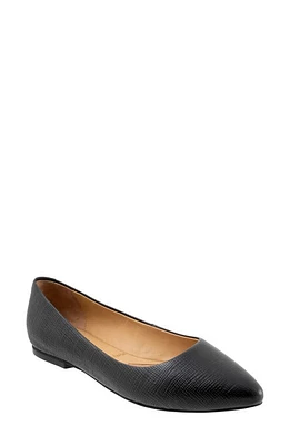 Trotters Estee Ballet Flat Black Embossed at Nordstrom,