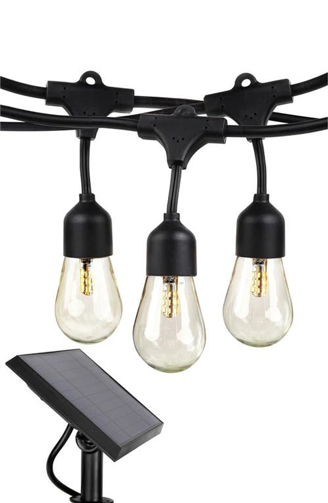 Brightech Ambience Pro Solar LED 1W String Lights in Warm White at Nordstrom