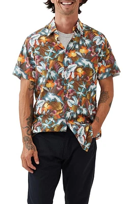 Rodd & Gunn Port Hutt Floral Short Sleeve Button-Up Shirt Rust at Nordstrom,