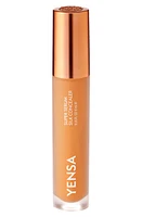 YENSA Super Serum Silk Concealer in Medium at Nordstrom