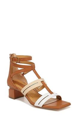 Franco Sarto Korie Gladiator Sandal Tan Multi at Nordstrom,