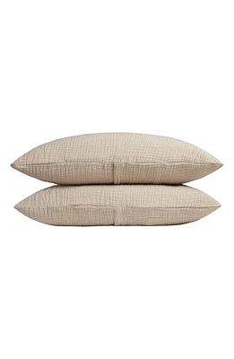 Parachute Set of 2 Cloud Organic Cotton Gauze Shams in Natural at Nordstrom