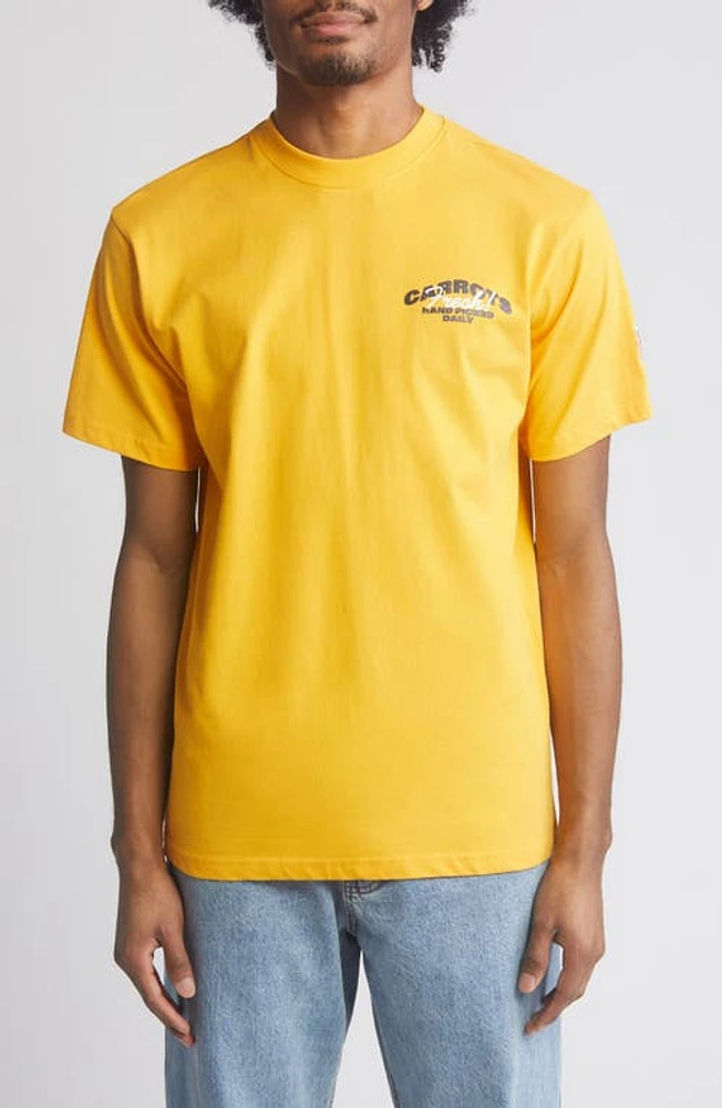 CARROTS BY ANWAR Hand Picked Cotton Graphic T-Shirt Squash at Nordstrom,